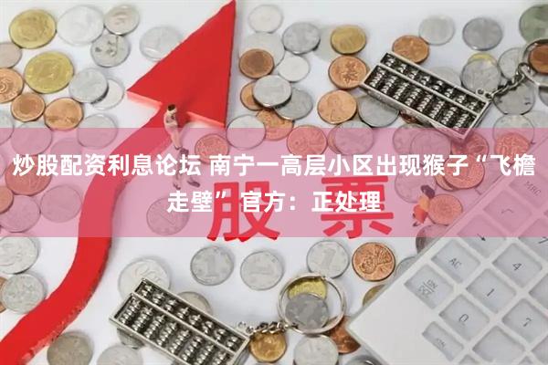 炒股配资利息论坛 南宁一高层小区出现猴子“飞檐走壁” 官方：正处理